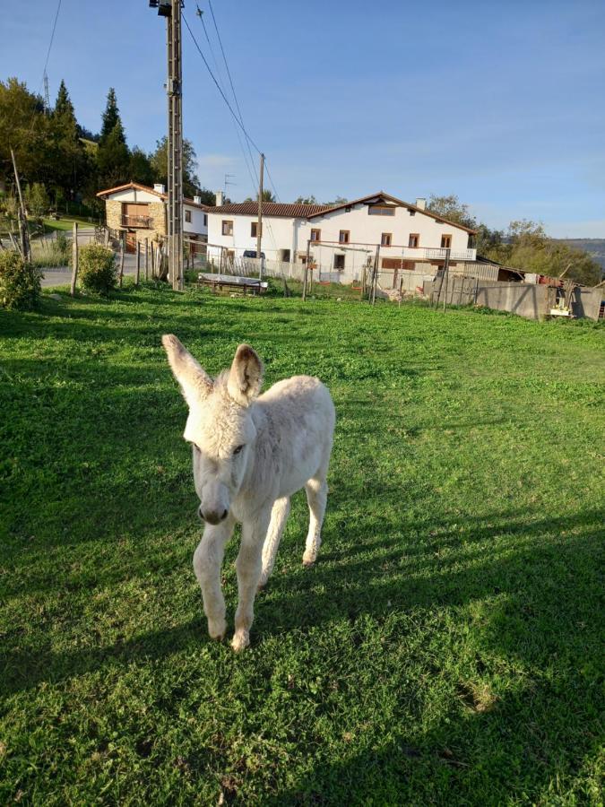 Agroturismo Pagoederraga Orio Exterior photo